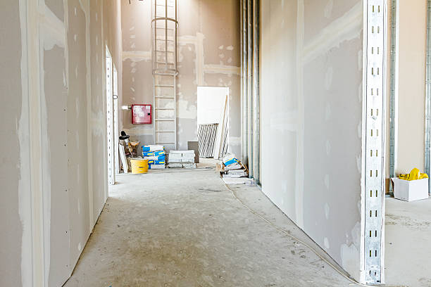 Best Drywall Sanding and Smoothing  in Floris, VA